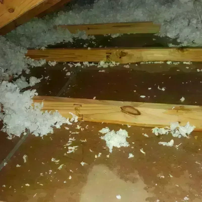 Attic Water Damage in Greenville, KY